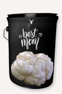  "Best Mom" Lion's Mane Mushroom Grow Kit - Celebrate Your Mother with Organic Elegance