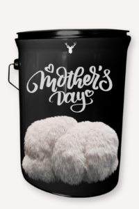 "Mother's Day" Lion's Mane Mushroom Grow Kit - Honour Your Mother with Organic Luxurious Mushrooms