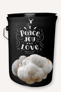  "Peace Joy Love" Lion's Mane Mushroom Grow Kit - Embrace the Holiday Spirit with Organic Delight