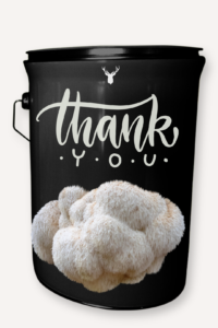 Thank You Lion's Mane Mushroom Grow Kit –  Gratitude Gift - Thank You Gift with Luxury Organic Gourmet Mushrooms