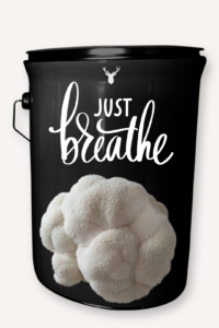  "Just Breathe" Lion's Mane Mushroom Grow Kit - Embrace Calm with Organic Serenity