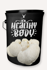 "A Healthy Body" Lion's Mane Mushroom Grow Kit - Embrace Vitality with Organic Nutrition