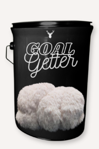 "Goal Getter" Lion's Mane Mushroom Grow Kit - Celebrate Dreams and Dreamers with Organic Gourmet Mushrooms 