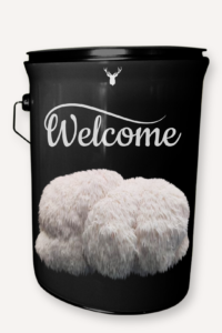 "Welcome" Lion's Mane Mushroom Grow Kit - Greet New Beginnings with Organic Gourmet Mushrooms