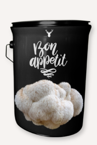 "Bon Appetit" Lion's Mane Mushroom Grow Kit - Elevate Your Culinary Adventures with Organic Gourmet Mushrooms