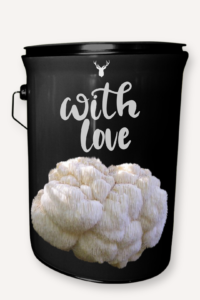 "With Love" Lion's Mane Mushroom Grow Kit - Cultivate Organic Moments of Affection