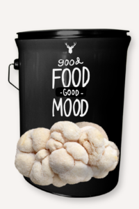 "Good Food, Good Mood" Lion's Mane Mushroom Grow Kit - Nourish Happiness and Mental Calm with Organic Goodness