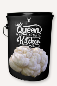 "Queen of the Kitchen" Lion's Mane Mushroom Grow Kit - Reign Over Your Culinary Kingdom with Organic Mushrooms