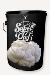 "Super Chef" Lion's Mane Mushroom Grow Kit - Unleash Culinary Superpowers with Organic Gourmet Mushrooms