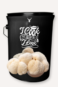 "I Cook as Good as I Look" Lion's Mane Mushroom Grow Kit - Celebrate Culinary Beauty with Organic Gourmet Mushrooms