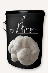 "Mrs" Lion's Mane Mushroom Grow Kit - Celebrate Her Special Moments with Organic Elegance