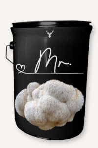 "Mr" Lion's Mane Mushroom Grow Kit - Honour His Special Moments with Organic Sophistication