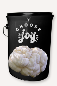 "Choose Joy" Lion's Mane Mushroom Grow Kit - Cultivate Happiness with Organic Gourmet Mushrooms