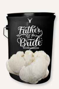 "Father of the Bride" Lion's Mane Mushroom Grow Kit - Honour Dad with Organic Mushrooms