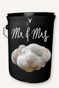 "Mr & Mrs" Lion's Mane Mushroom Grow Kit - Celebrate Their Union with Organic Luxuries 