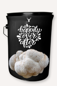 "Happily Ever After" Lion's Mane Mushroom Grow Kit - Celebrate Their Love with Organic Splendour