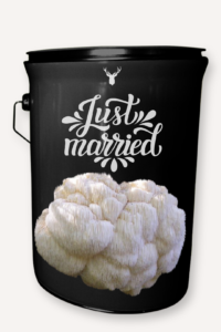 "Just Married" Lion's Mane Mushroom Grow Kit - Celebrate Their New Beginning with Organic Splendour