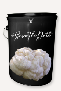 "Save the Date" Lion's Mane Mushroom Grow Kit - Announce Your Special Day with Organic Splendour