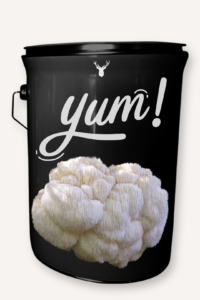  "Yum" Lion's Mane Mushroom Grow Kit - Organic Culinary Delight