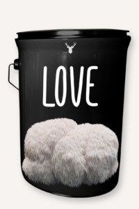 "LOVE" Lion's Mane Mushroom Grow Kit - Share the Gift of Organic Affection