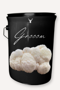 "Groom" Lion's Mane Mushroom Grow Kit - Celebrate Him with Organic Excellence