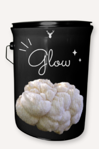 "Glow" Lion's Mane Mushroom Grow Kit - Radiate Beauty with Organic Splendour