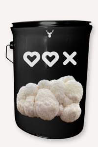 "Hearts Kiss" Lion's Mane Mushroom Grow Kit - Express Love with Organic Mushrooms