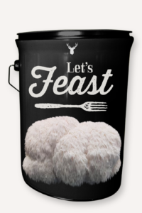 "Let's Feast" Lion's Mane Mushroom Grow Kit - A Culinary Celebration with Organic Mushrooms