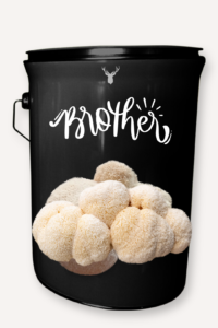 "Brother" Lion's Mane Mushroom Grow Kit - Honour Brotherhood with Organic Mushrooms