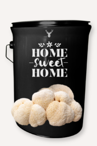  "Home Sweet Home" Lion's Mane Mushroom Home Gift Grow Kit - A Welcoming Gift for a New Home