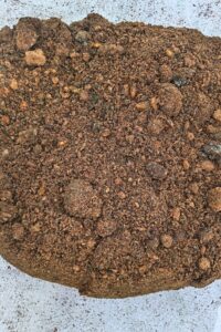 Organic Mushroom Substrate - Perfect for Compost, Mulch, and Soil Conditioner