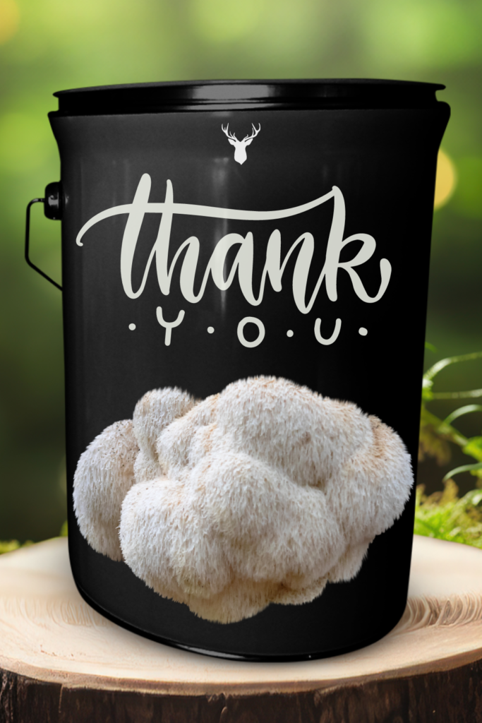 Thank You Lion's Mane Mushroom Grow Kit –  Gratitude Gift - Thank You Gift with Luxury Organic Gourmet Mushrooms