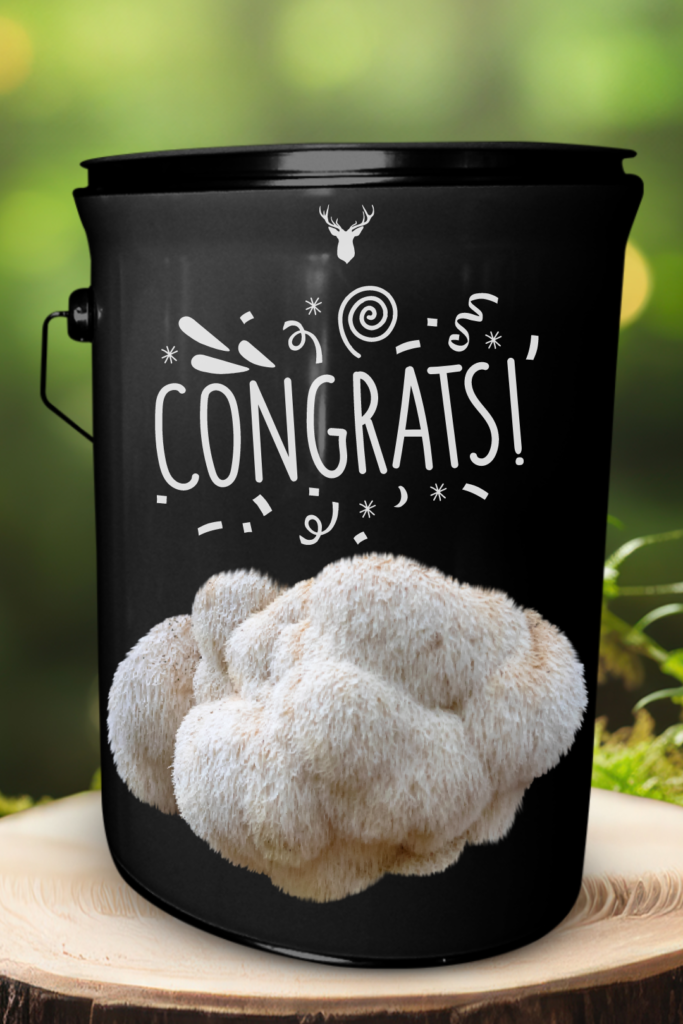 Congrats Lion's Mane Mushroom Grow Kit - Perfect Celebration Gift