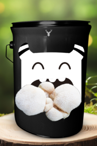 Lion's Mane Munchies Grow Kit – Fun & Educational Mushroom Cultivation