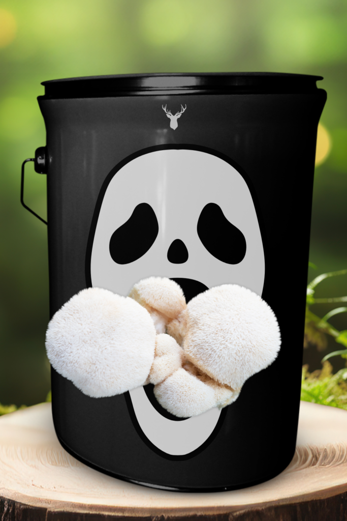 Ghouls' Grub Lion's Mane Mushroom Grow Kit - Halloween Fun with Deer Manor Mushrooms