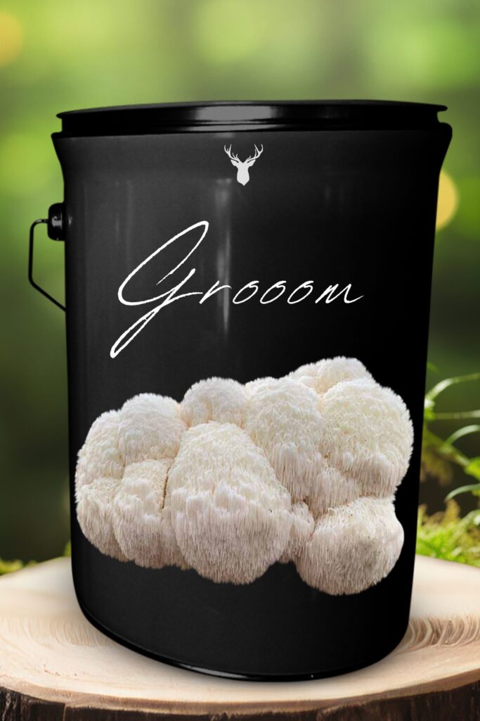 "Groom" Lion's Mane Mushroom Grow Kit - Celebrate Him with Organic Excellence