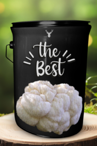 "The Best" Lion's Mane Mushroom Grow Kit - Premium Organic Culinary Experience