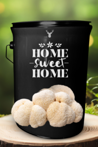 "Home Sweet Home" Lion's Mane Mushroom Grow Kit - Celebrate a New Home with Organic Gourmet Mushrooms