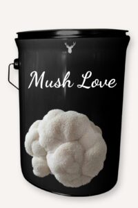 "Mush Love" Lion's Mane Mushroom Grow Kit - A Heartfelt Gift for Those You Care About