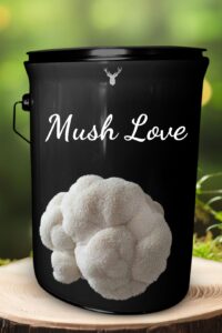 "Mush Love" Lion's Mane Mushroom Grow Kit - A Heartfelt Gift for Those You Care About