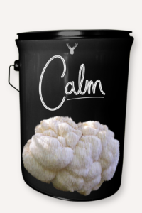 "Calm" Lion's Mane Mushroom Grow Kit - A Gift for Tranquillity and Peace