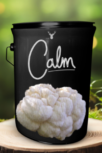 "Calm" Lion's Mane Mushroom Grow Kit - A Gift for Tranquillity and Peace