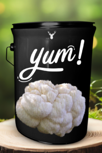  "Yum" Lion's Mane Mushroom Grow Kit - Organic Culinary Delight