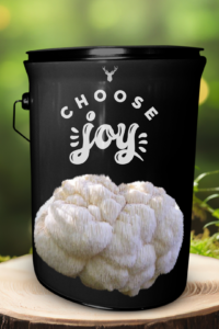 "Choose Joy" Lion's Mane Mushroom Grow Kit - Cultivate Happiness with Organic Gourmet Mushrooms