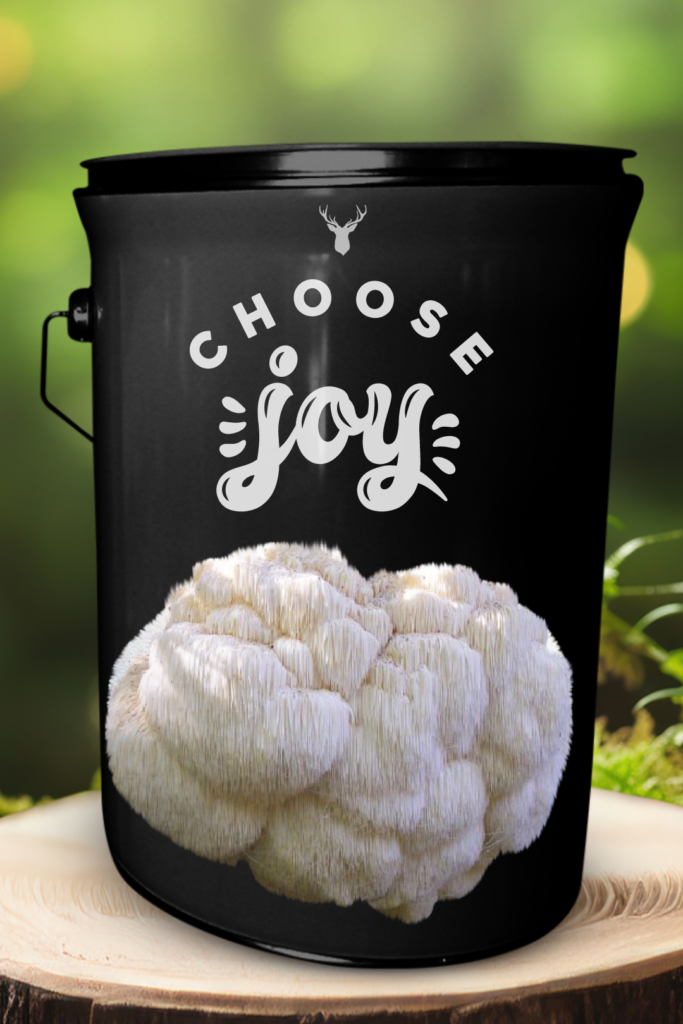 "Choose Joy" Lion's Mane Mushroom Grow Kit - Cultivate Happiness with Organic Gourmet Mushrooms