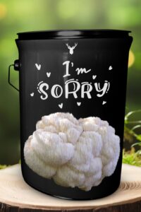 "I'm Sorry" Lion's Mane Mushroom Grow Kit - Apologise with Organic Gourmet Mushrooms