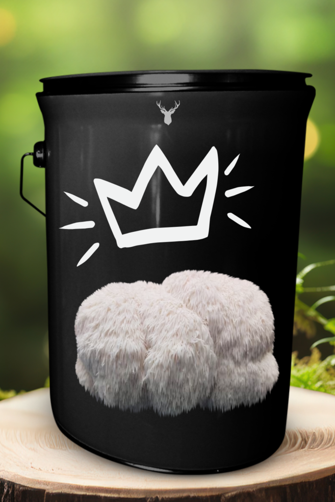 "Crown of Mane" Lion's Mane Mushroom Grow Kit - Organic, Regal Culinary Delights