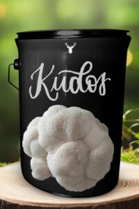 "Kudos" Lion's Mane Mushroom Grow Kit - Applaud Success with Organic Excellence