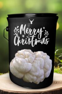 "Merry Christmas" Lion's Mane Mushroom Grow Kit - Spread Christmas Cheer with Luxurious Organic Mushrooms