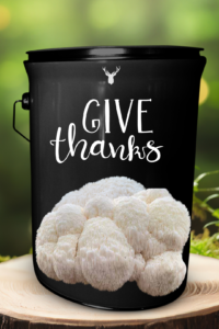 "Give Thanks" Lion's Mane Mushroom Grow Kit - A Gourmet Way to Celebrate Thanksgiving